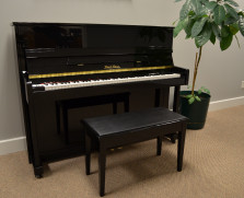 Pearl River professional upright